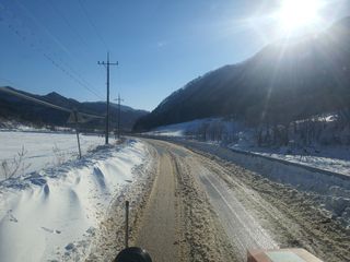 변호연님의 두릅 · 영농일지 작성글 사진