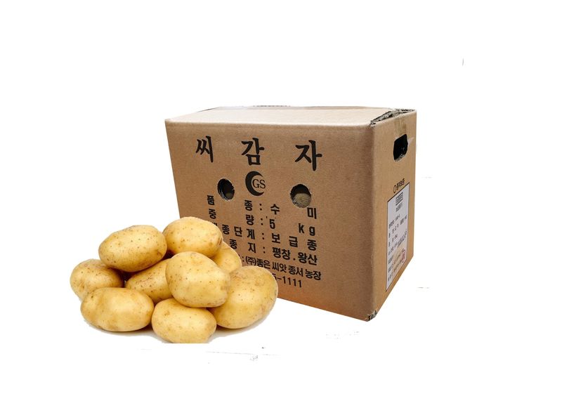 한농농약종묘사님의 장터 판매 상품 [수미씨감자 (강원도 씨감자)정품] 첨부 사진