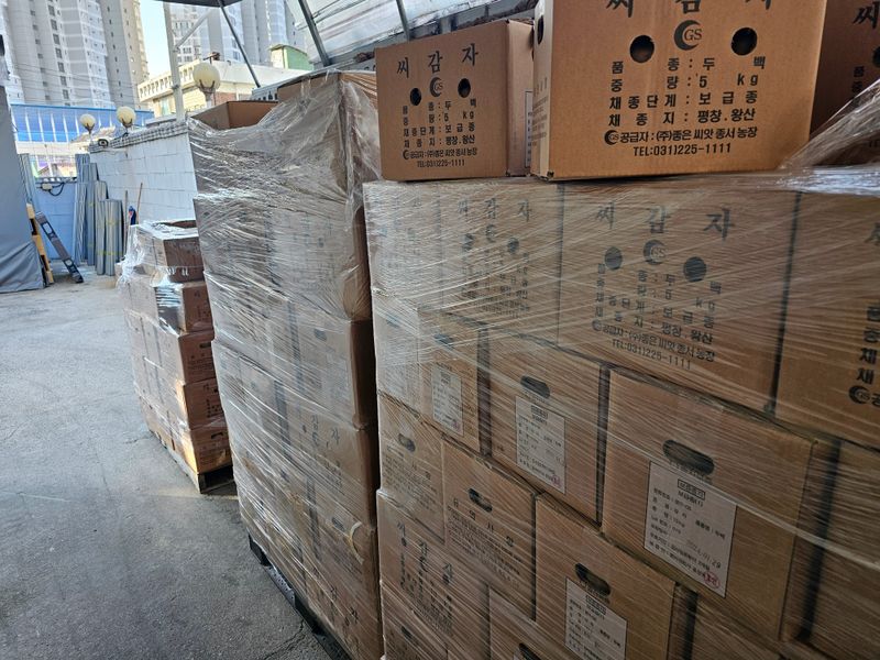 한농농약종묘사님의 장터 판매 상품 [수미씨감자 (강원도 씨감자)정품] 첨부 사진