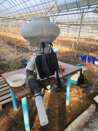 김길수님의 자두 · 영농일지 작성글 사진