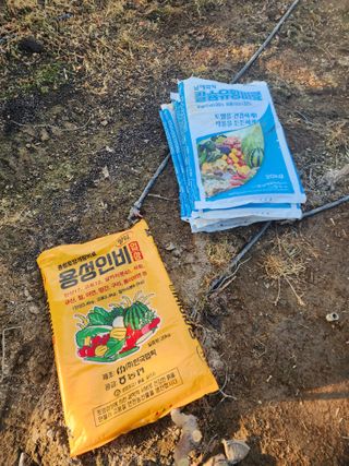 김길수님의 자두 · 영농일지 작성글 사진