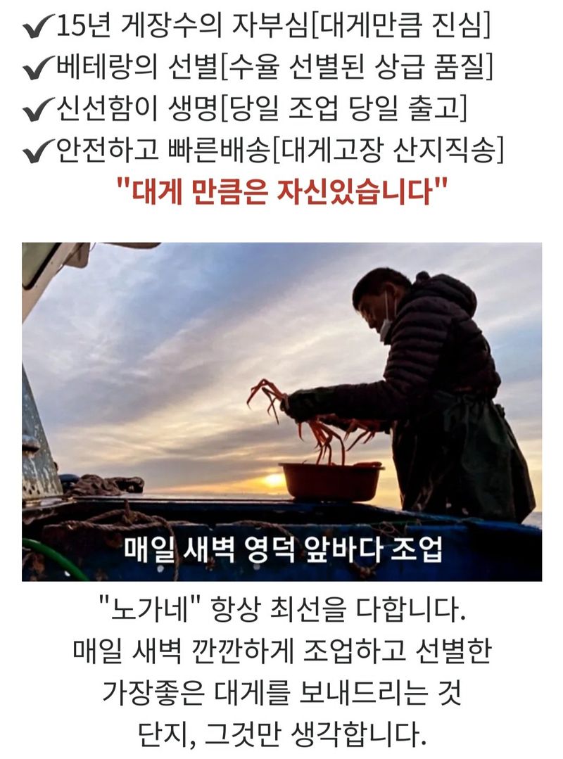 노가네수산님의 장터 판매 상품 [노가네] 강구항 영덕대게 3미.5미 선택 ] 첨부 사진