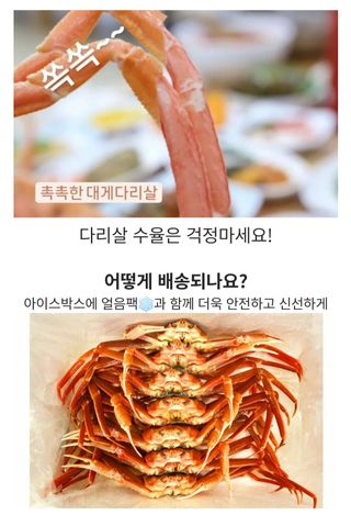 노가네수산님의 작성글 사진