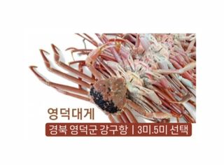 노가네수산님의 작성글 사진