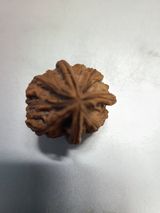 팜모닝 2월 내 작물 자랑하기·참여글 게시글 이미지