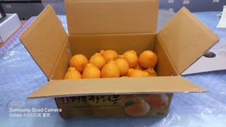 이호님의 작성글 사진