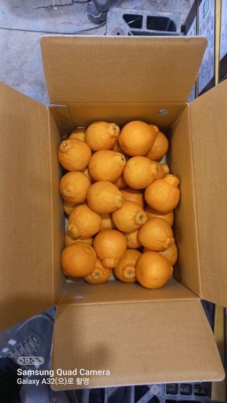 이호님의 작성글 사진