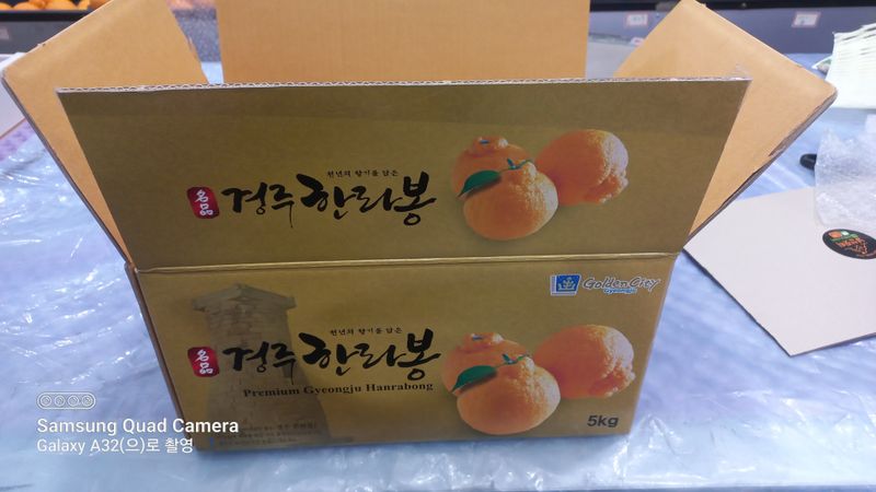 이호님의 장터 판매 상품 [경주한라봉  가정용5kg'(28과)] 첨부 사진