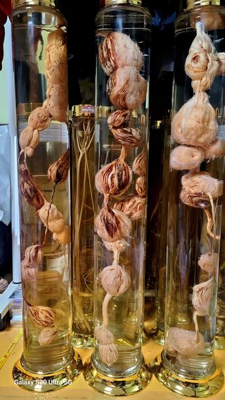 한신희님의 2월 내 작물 자랑하기 · 참여글 작성글 사진