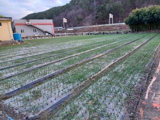 한학만님의 2월 내 작물 자랑하기 · 참여글 작성글 사진