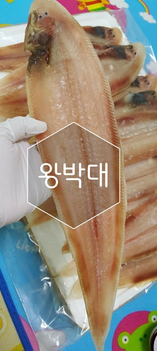 장금이1님의 장터 판매 상품 [왕박대  10미 49.900] 첨부 사진