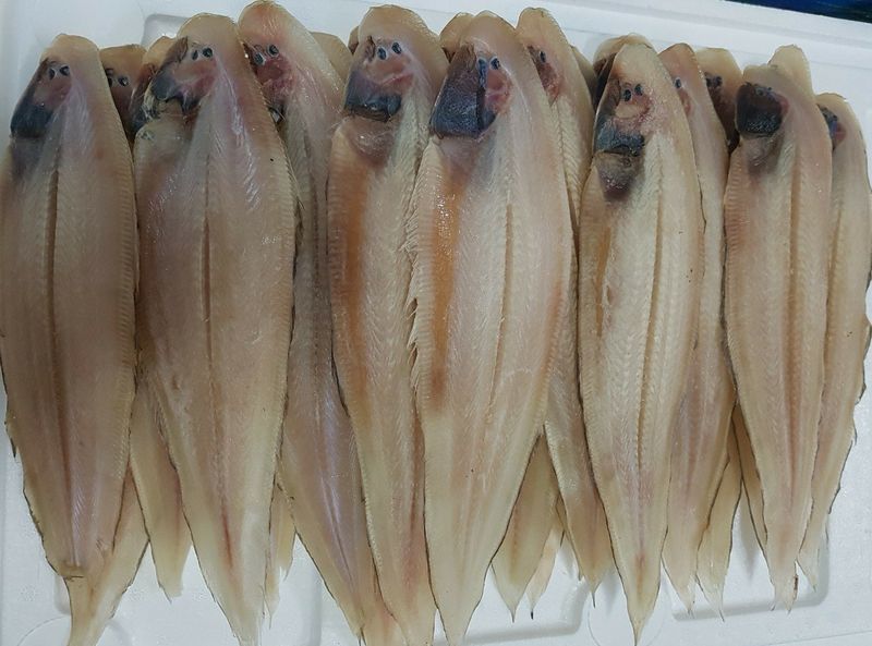 장금이1님의 장터 판매 상품 [왕박대  10미 49.900] 첨부 사진