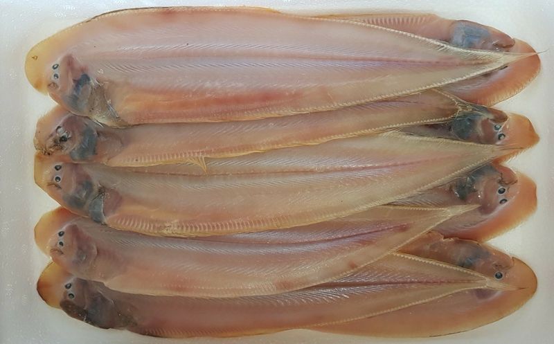 장금이1님의 장터 판매 상품 [왕박대  10미 49.900] 첨부 사진