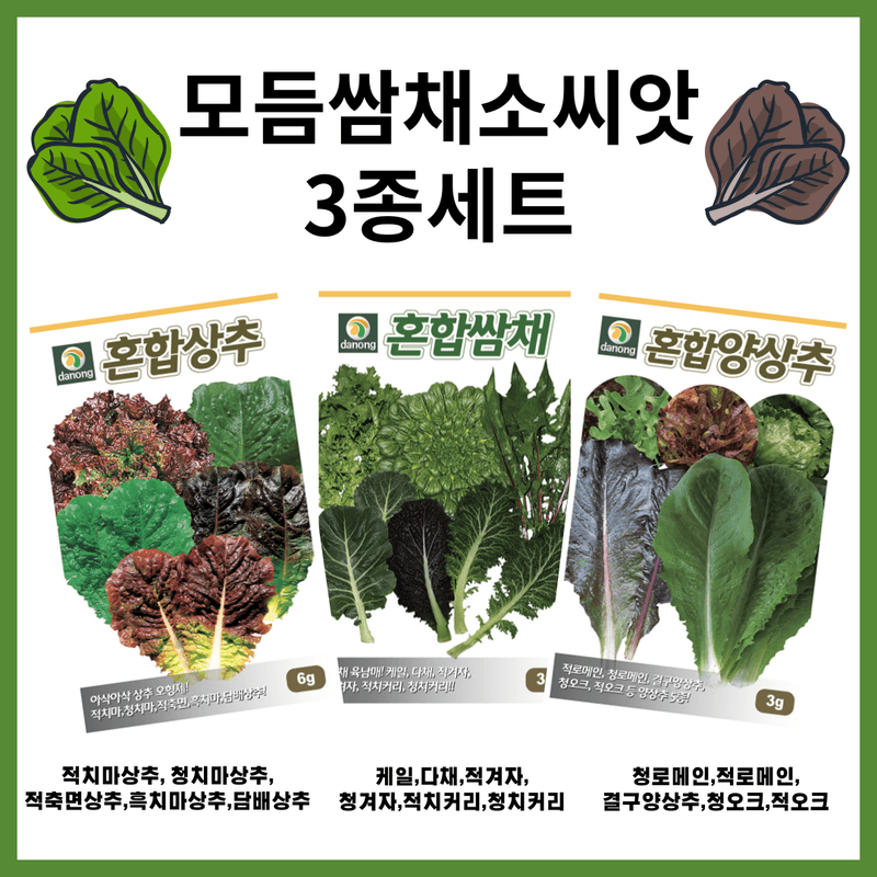 장터 상품 [모듬 쌈채소 씨앗 3종세트] 썸네일