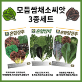 팜모닝 · 게시글 이미지