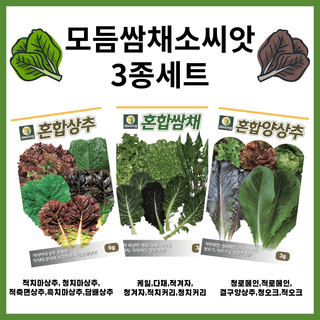 주주씨앗님의 작성글 사진