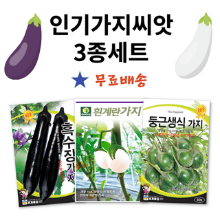 주주씨앗님의 작성글 사진