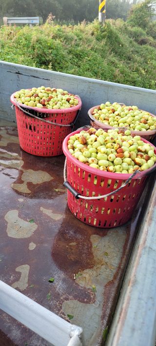 호박16205님의 2월 내 작물 자랑하기 · 참여글 작성글 사진