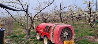 호박16205님의 2월 내 작물 자랑하기 · 참여글 작성글 사진