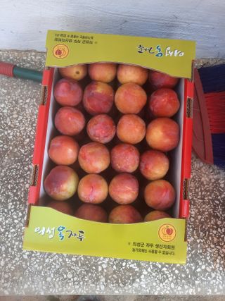 호박16205님의 2월 내 작물 자랑하기 · 참여글 작성글 사진