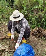 치유숲모이라양재순님의 두릅·삽목•정식 작성글 사진