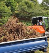 치유숲모이라양재순님의 두릅·삽목•정식 작성글 사진