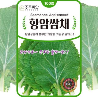 주주씨앗님의 작성글 사진