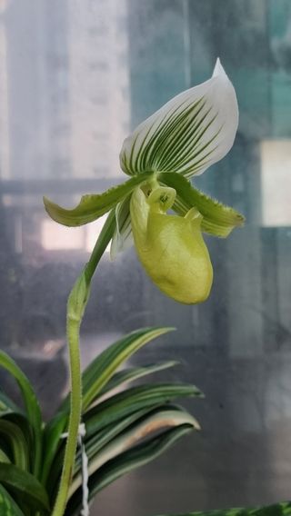 푸른꿈님의 자유주제 · 자유게시판 작성글 사진