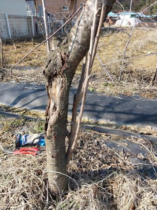 금동이네님의 기타작물 · 자유게시판 작성글 사진