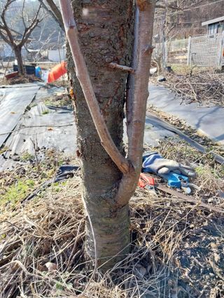 금동이네님의 기타작물 · 자유게시판 작성글 사진