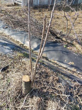 금동이네님의 기타작물 · 자유게시판 작성글 사진