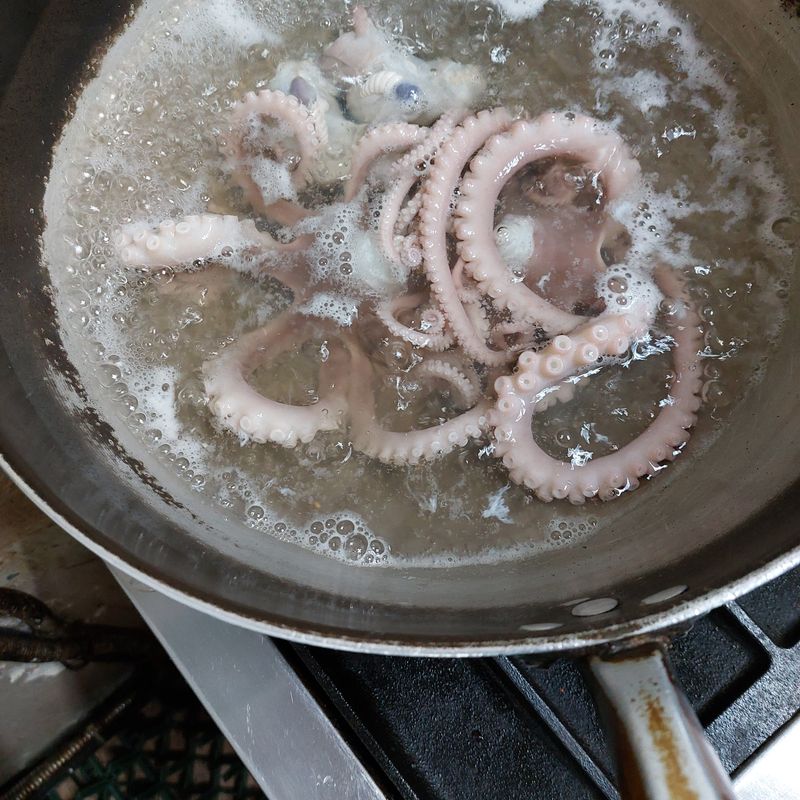 목포제주수산님의 장터 판매 상품 [장흥 뻘낙지 10 마리] 첨부 사진