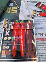 팜모닝 고추·파종•정식 게시글 이미지