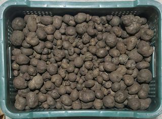 정보센터님의 작성글 사진