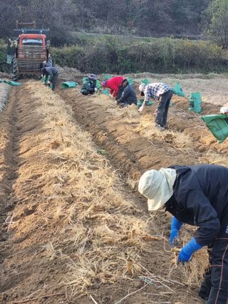 모두팜님의 2월 내 작물 자랑하기 · 참여글 작성글 사진