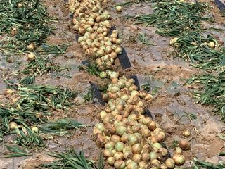 이영민님의 작성글 사진