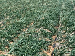 이영민님의 작성글 사진