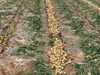 이영민님의 작성글 사진