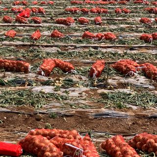 이영민님의 작성글 사진