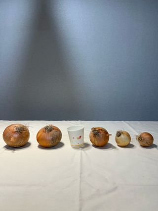 이영민님의 작성글 사진