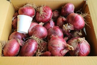 이영민님의 작성글 사진