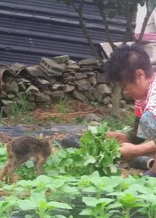 알 수 없음님의 자유주제 · 자유게시판 작성글 사진