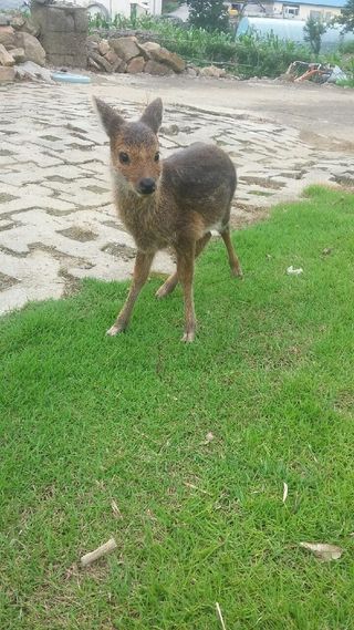 알 수 없음님의 자유주제 · 자유게시판 작성글 사진