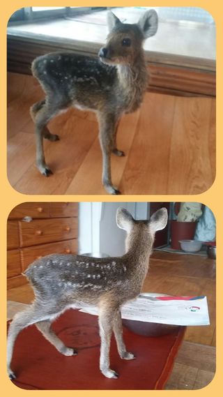 알 수 없음님의 자유주제 · 자유게시판 작성글 사진