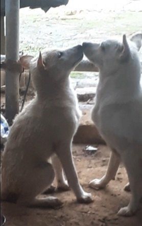 알 수 없음님의 자유주제 · 자유게시판 작성글 사진