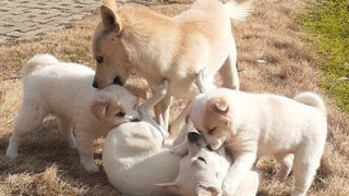 알 수 없음님의 자유주제 · 자유게시판 작성글 사진