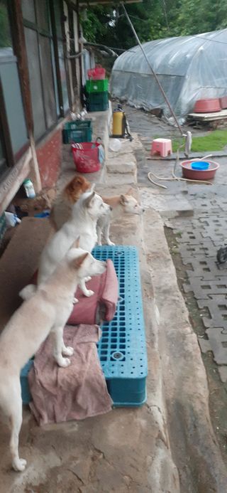 알 수 없음님의 자유주제 · 자유게시판 작성글 사진