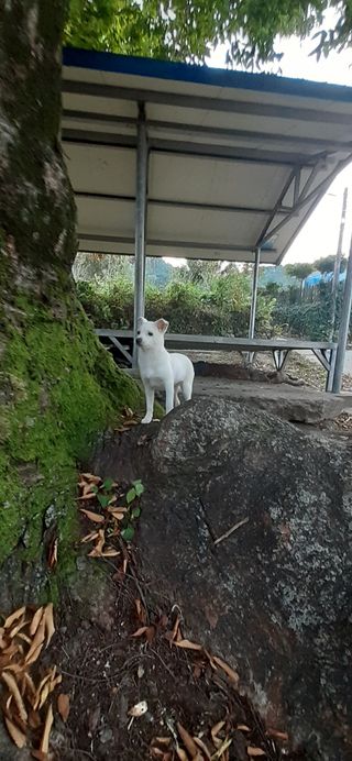 알 수 없음님의 자유주제 · 자유게시판 작성글 사진