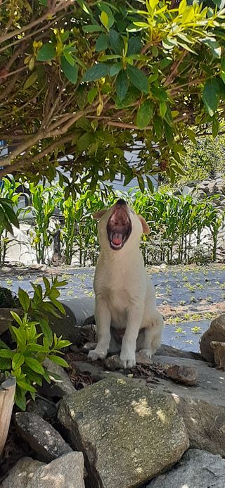 알 수 없음님의 자유주제 · 자유게시판 작성글 사진