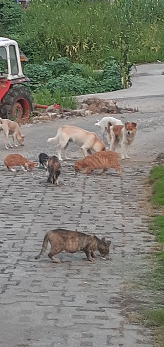 알 수 없음님의 자유주제 · 자유게시판 작성글 사진